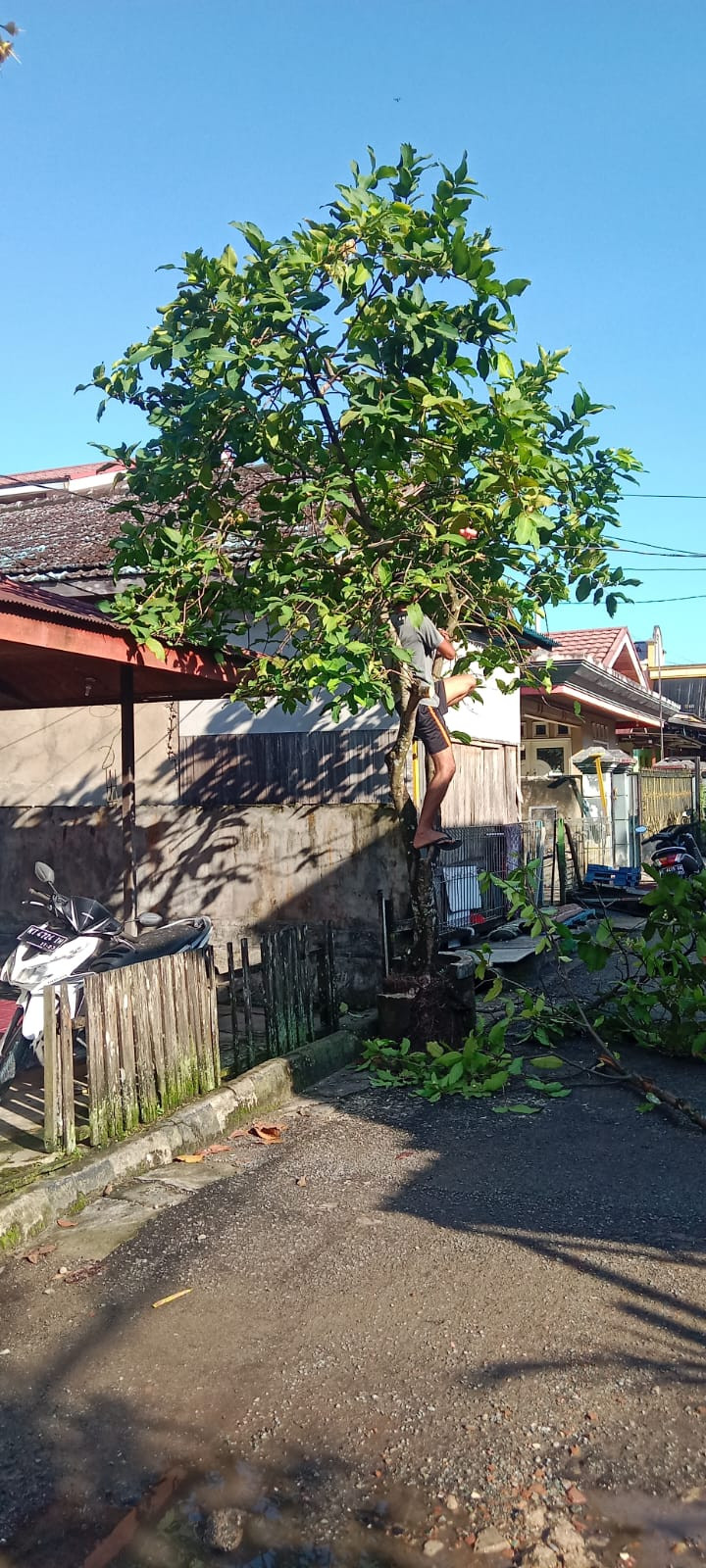 Kegiatan Kerja Bakti di Lingkungan Kelurahan Selili Tahun 2023