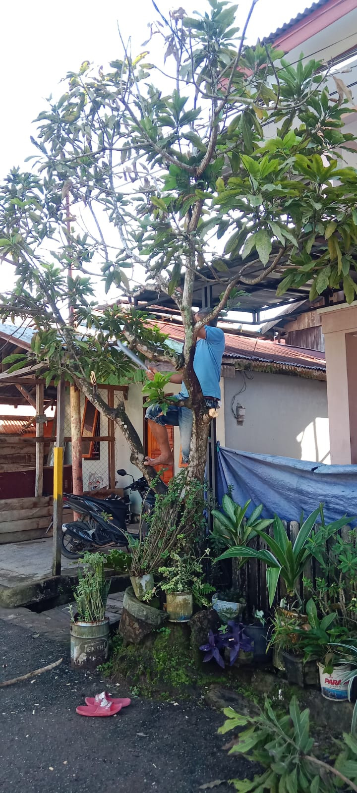 Kegiatan Kerja Bakti di Lingkungan Kelurahan Selili Tahun 2023