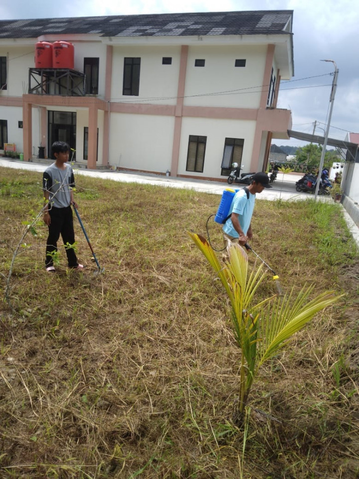 Giat, Selasa 25 Juli 2023,  Mengikuti Zoom Meeting Rakor TKPK ( Tim Koordinasi Penanggulangan Kemiskinan) di hadiri Plh. Lurah & Melakukan pembersihan sekaligus penyemprotan rumput di Area belakang kantor kelurahan sempaja barat.