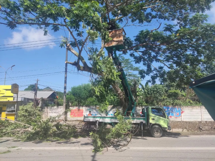 Giat Minggu, 5 November 2023 Tim Tebang Pohon DLH dalam Penebangan Pohon yang hampir Tumbang, di Jl. KH Wahid Hasyim 2 RT. 04  dihadiri Lurah, Kasi Pemtrantib, Babinsa, Babinkamtibmas dan Ketua RT 04 Kelurahan Sempaja Barat