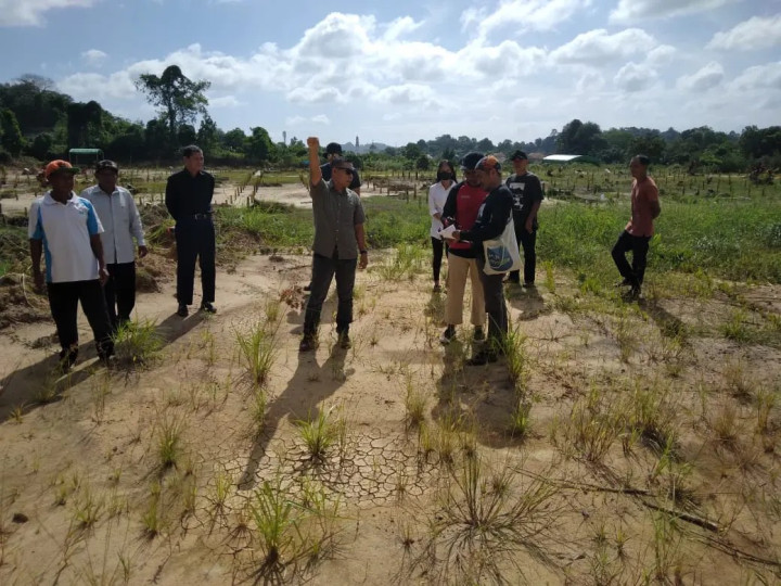 Giat Jum'at, 16 Februari 2024 Peninjauan dari Majelis Hakim Pengadilan Negeri Samarinda terkait Sengketa antara Pemkot Samarinda dengan Ahli Waris, Penginputan Hasil Suara Pemilu Pilpres, DPD RI, DPRD RI, DPRD Provinsi, dan DPRD Kota/Kab Tahun 2024