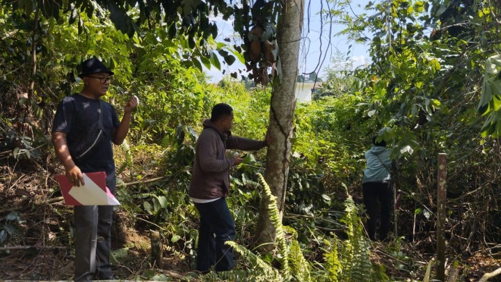 Giat, Rabu 11 September 2024 Menghadiri Rapat Monitoring dan Evaluasi Pelayanan KB KR di kantor DPPKB dihadiri Kasi Kesra & Pengukuran Tanah Jl AW Syahrani GG 4 RT 01 Milik H. Masdi dihadiri Kasi Tapem beserta staf dan Ketua RT 01.