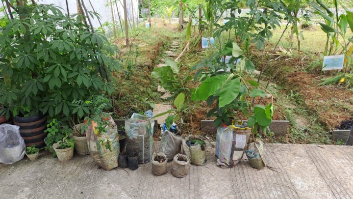 Giat, Jum'at 22 November 2024 Melaksanakan kerja bakti sekaligus tanaman pohon toga disekitar kantor kelurahan sempaja barat oleh seluruh Staf Kelurahan Sempaja Barat, Menghadiri Rapat penyegelan dan wajib pajak kendaraan bermotor dan pengundian pemenang taat pajak kendaraan bermotor sebanyak 1.250 orang pemenang terbesar di seluruh kabupaten kota se-kalimantan timur di Ruhui Rahayu kantor gubernur Kalimantan Timur dihadiri Lurah & Menghadiri Rapat koordinasi pertanggungjawaban anggaran distribusi logistik dan Anggaran hari pelaksanaan pemungutan, perhitungan dan rekapitulasi hasil perhitungan Suara pada pemilihan tahun 2024 di Hotel Bumi Senyiur Kota Samarinda dihadiri seluruh sekretariat Sempaja Barat.