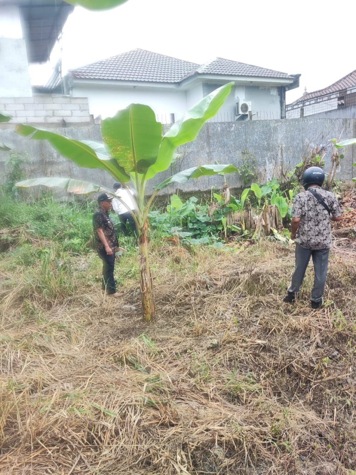 Giat, Kamis 30 Januari 2025 Peninjauan kelapangan dengan Dinas PUPR mengenai normalisasi wilayah susuran sungai di wilayah kelurahan sempaja barat dihadiri Lurah, Kasi Tapem beserta staf.