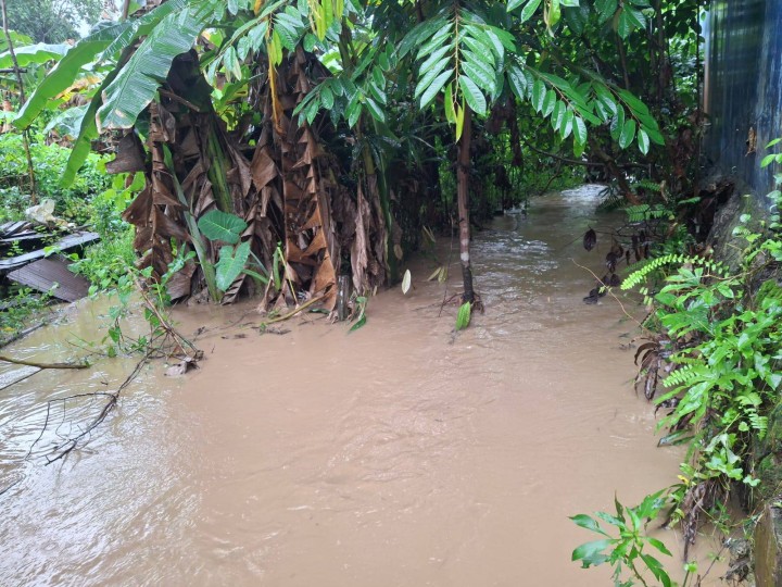 Giat sore, Selasa 16 September 2025 Monitoring wilayah Banjir saat curah hujan yang deras pada sekitar Jln AW Syahrani RT 01 dan RT 02 ditinjau langsung oleh Kasi Tapem dan Kasi Ekbang beserta staf.