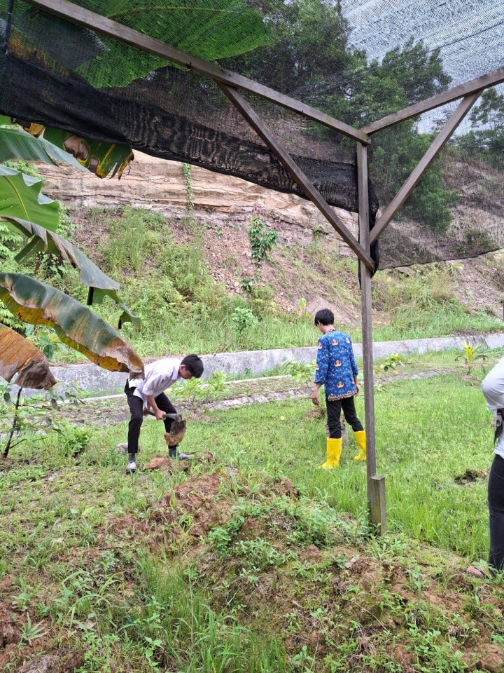 Giat sore, Rabu 17 September 2025 Kerja bakti penanaman pohon pisang dilingkungan kantor kelurahan sempaja barat oleh staf.