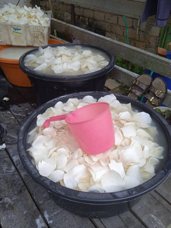 Giat, Rabu 15 April 2026 ‎ ‎Kunjungan lapangan bersama Dinas Perindustrian dan Perdagangan (DISPERINDAG) Kota Samarinda di wilayah Kelurahan Sempaja Barat dihadiri oleh Staf Ekbang ke beberapa UMKM seperti Industri Pengolahan Pangan Peyek, Industri Pengolahan Mie Ayam dan Pangsit ‎Industri Pengolahan Pangan Keripik dari Singkong Gajah.