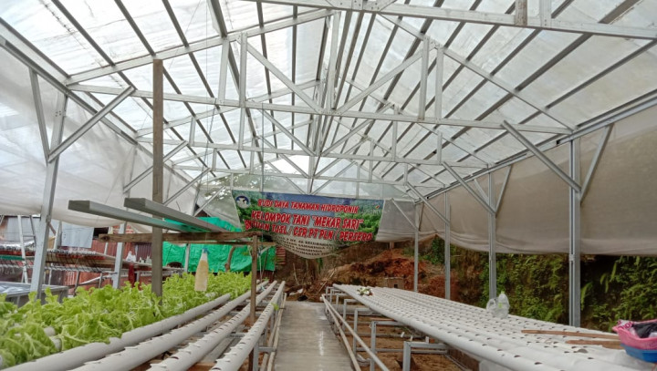 Kegiatan KKN 47 Kelurahan Sidodadi Kelompok 33