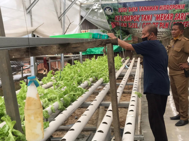 Kegiatan KKN 47 Kelurahan Sidodadi Kelompok 33