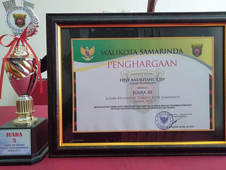 Penghargaan Lomba Kelurahan Tingkat Kota Samarinda