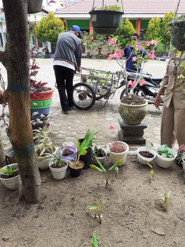 Dukung SDN 002 Dalam Lomba Sekolah Sehat (LSS), Kelurahan Sidomulyo Turut Membantu Mempercantik Lingkungan Sekolah