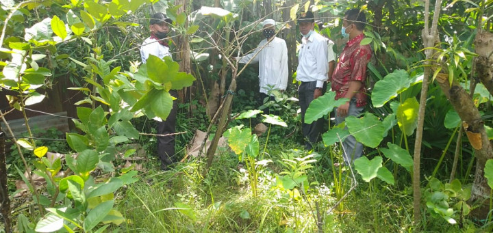 Peninjauan Dan Penelitian Tanah