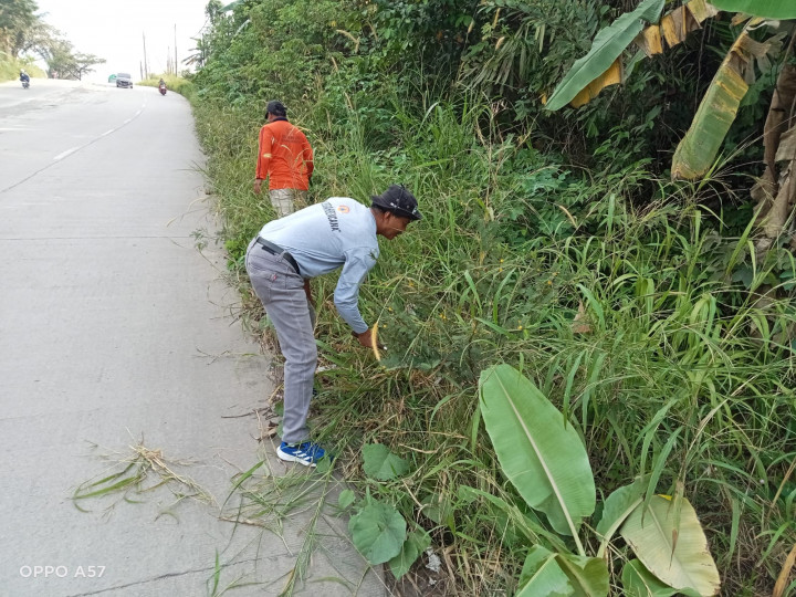 Gotong Royong Massal Di Sepanjang Jalan Trikora dan Ampera