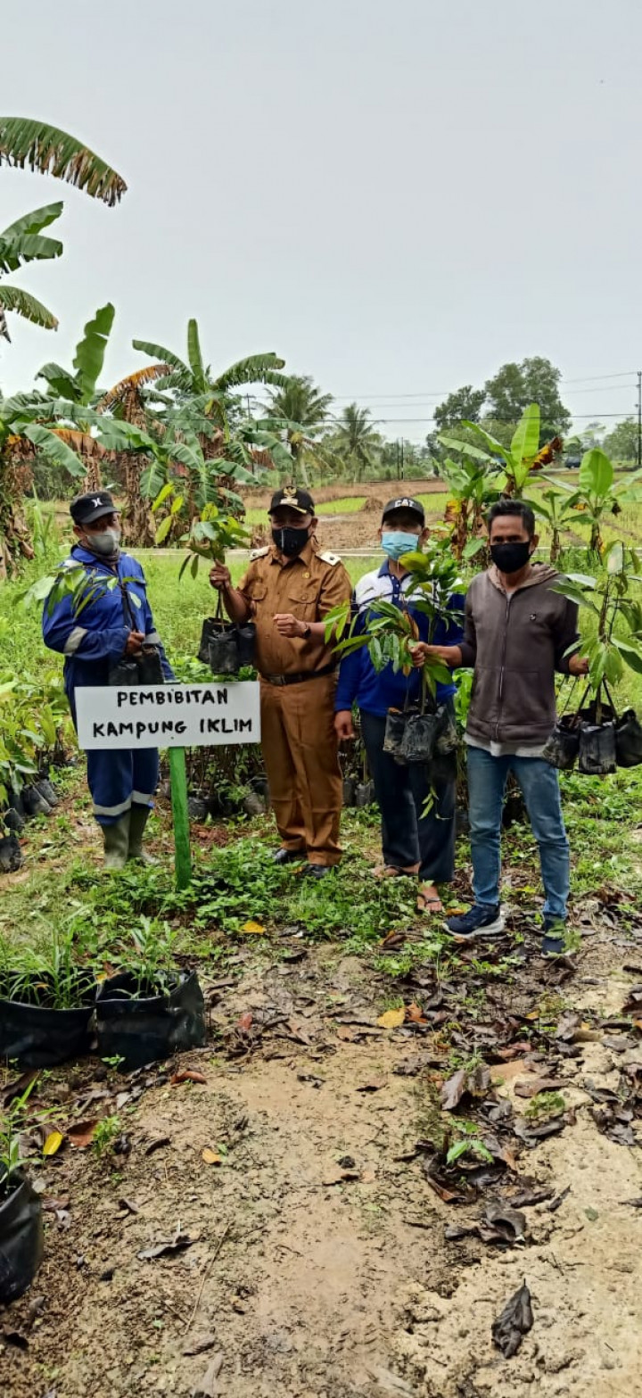 Penerimaan Bantuan Tanaman Hidroponik dari Dinas Lingkungan Hidup