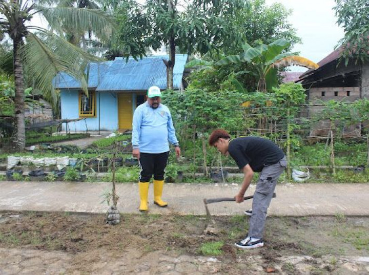 Pelaksanaan dan penghijauan