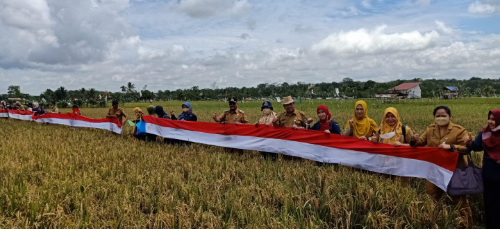 Menghadiri kegiatan Panen Padi IP 300
