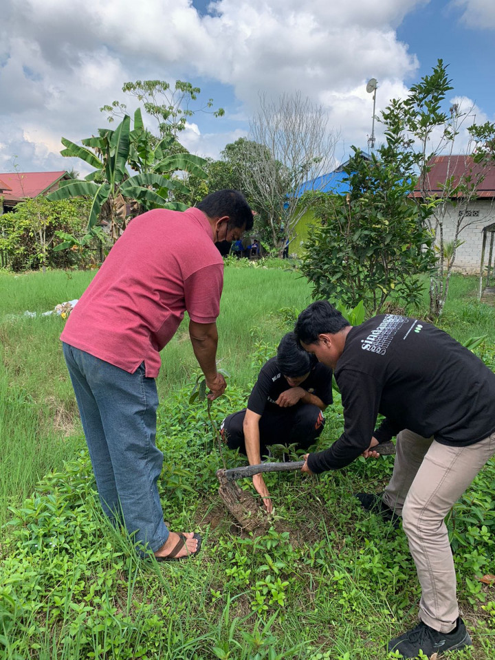 Penanaman Bibit Buah oleh Mahasiswa KKN UNMUL