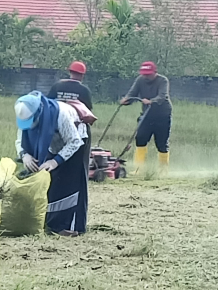 Gotong Royong Massal