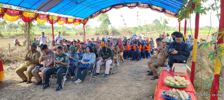 Penanaman Jagung Pipil Perdana bersama Walikota dan Temu Wicara di Kelompok Tani Sumber Sari Kelurahan Sindang Sari