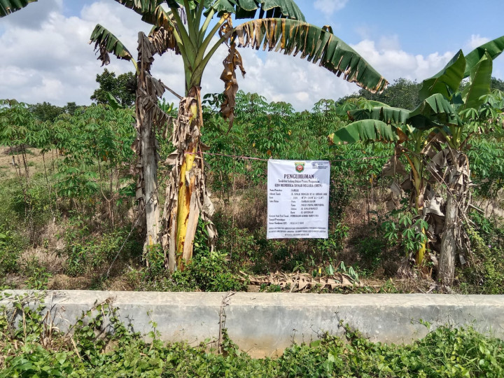 Pengukuran IMTN dari BPN samarinda dan Pihak Kecamatan Sambutan di jl.Sungai Manggis