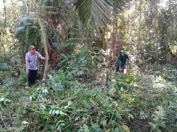 Gotong Royong Masal dan membersihkan Gulma arah jalur  kepemakaman di Wilayah RT.01 Kelurahan Sindang Sari.