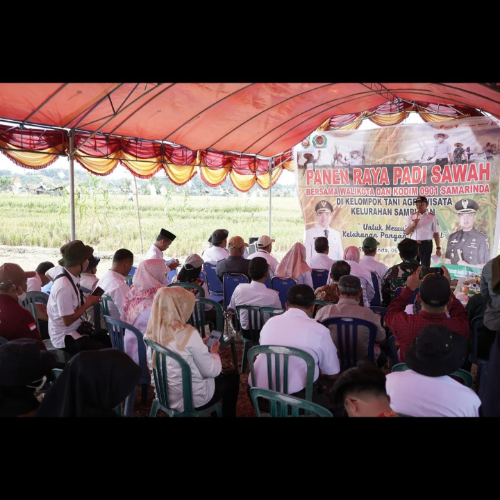 PANEN RAYA PADI SAWAH Bersama Walikota Samarinda dan Kodim 0901 Samarinda. TEMA " Untuk Mewujudkan Ketahanan Pangan Nasional".