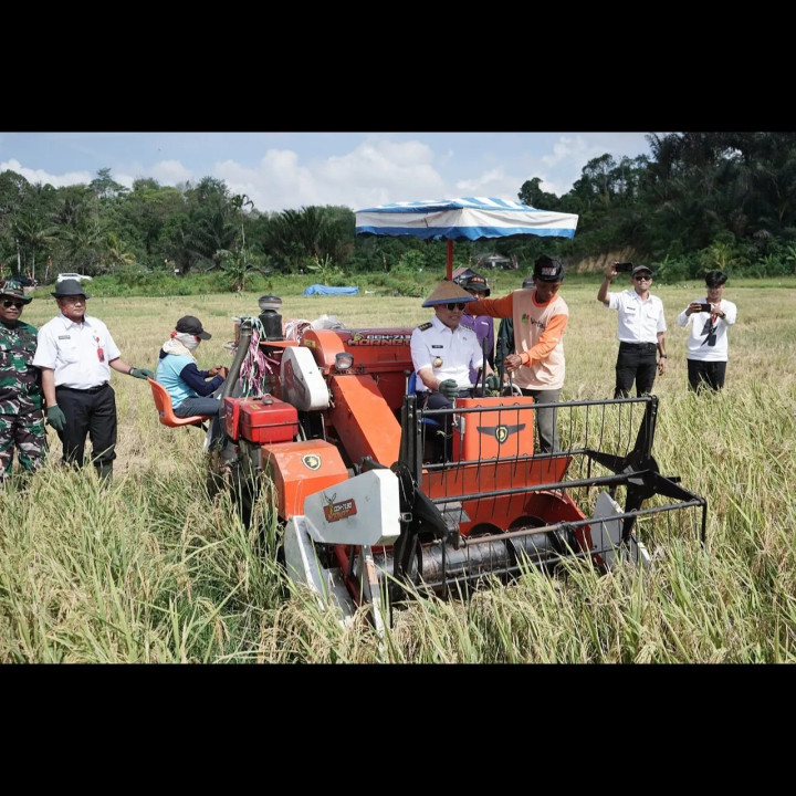 PANEN RAYA PADI SAWAH Bersama Walikota Samarinda dan Kodim 0901 Samarinda. TEMA " Untuk Mewujudkan Ketahanan Pangan Nasional".