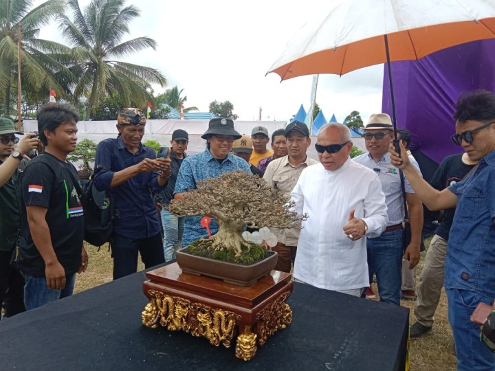 Menghadiri Undangan Pembukaan Pameran dan Kontes Bonsay "THE LUXURY BONSAY OF PESUT MAHAKAM" di Kelurahan Makroman