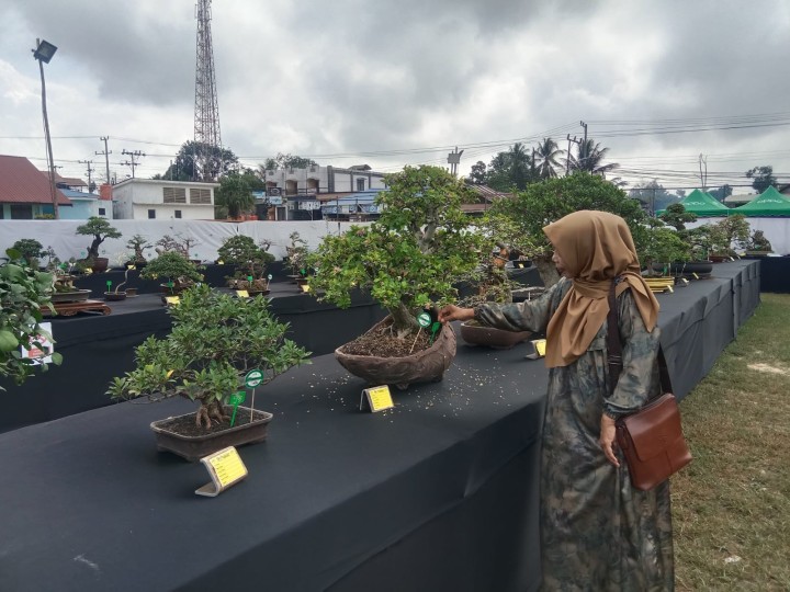 Menghadiri Undangan Pembukaan Pameran dan Kontes Bonsay "THE LUXURY BONSAY OF PESUT MAHAKAM" di Kelurahan Makroman