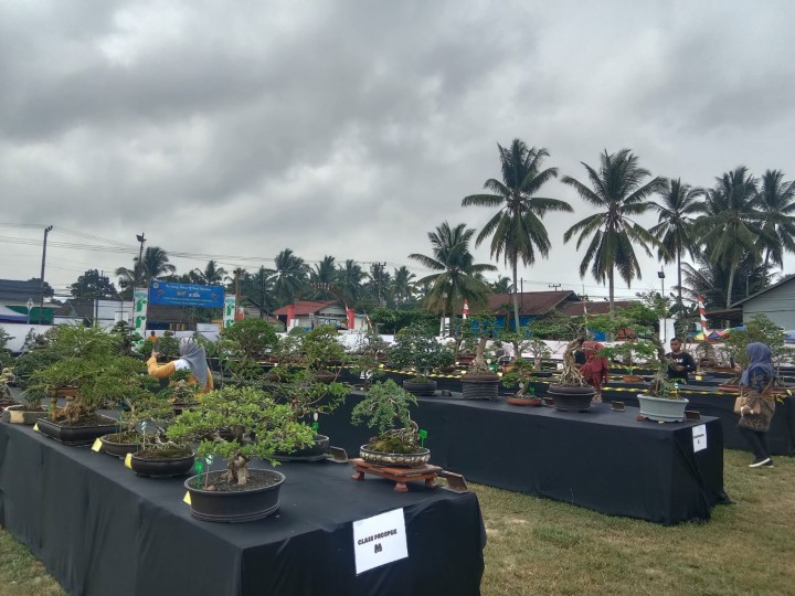 Menghadiri Undangan Pembukaan Pameran dan Kontes Bonsay "THE LUXURY BONSAY OF PESUT MAHAKAM" di Kelurahan Makroman