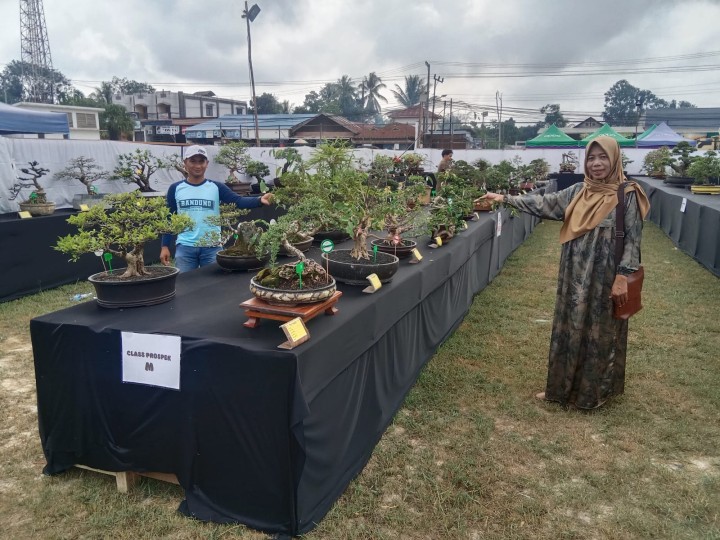 Menghadiri Undangan Pembukaan Pameran dan Kontes Bonsay "THE LUXURY BONSAY OF PESUT MAHAKAM" di Kelurahan Makroman