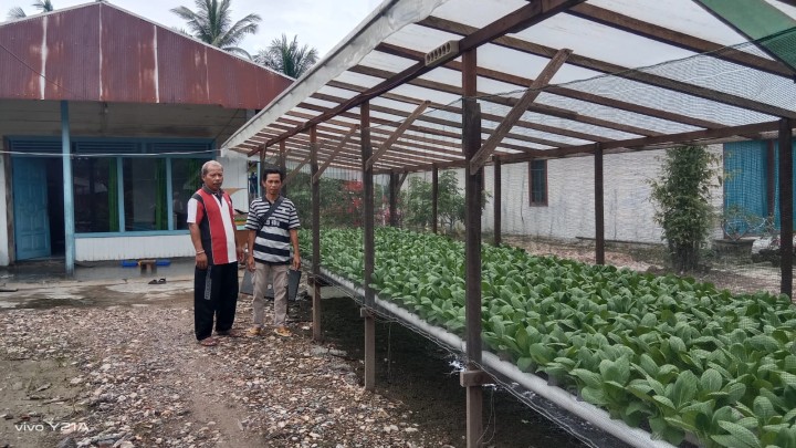 Monitoring Tanaman Hiroponik dan Ternak Ikan  Lele di kediaman ketua RT.01