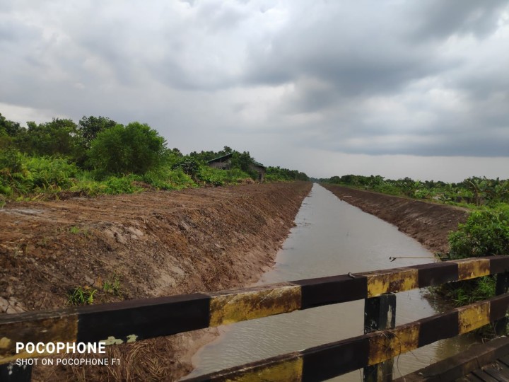 Monitoring jembatan dan drainase di sungai manggis