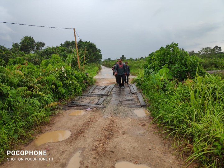 Monitoring jembatan dan drainase di sungai manggis