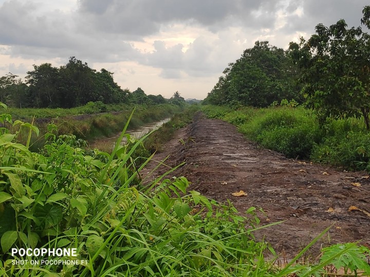 Monitoring jembatan dan drainase di sungai manggis