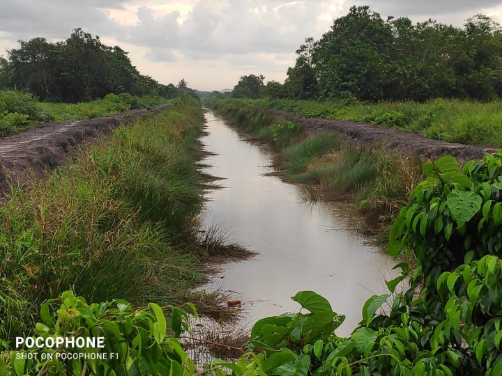 Monitoring jembatan dan drainase di sungai manggis