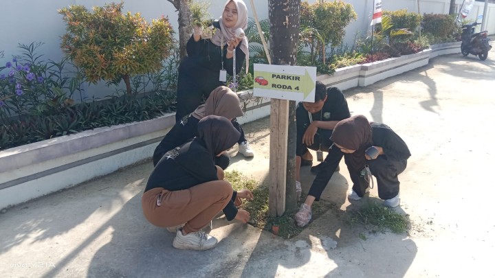 Kerja Bakti Lingkungan sekitar halaman Kelurahan Sindang Sari membersikan Rumput sekitar halaman kantor. diikuti pegawai kelurahan dan Mahasiswa UNMUL,UINSI,IAIN dan WIDYAGAMA.