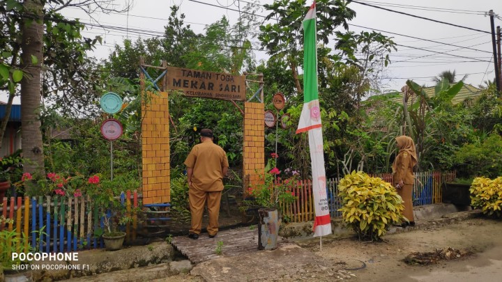 Evaluasi dan monitoring pelaksanaan kebun Toga Sindang sari