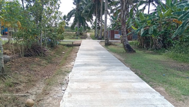Meninjau pengerjaan semenisasi dan pengukuran semenisasi jalan Masaji RT. 2,Gg. Baru RT. 2 dan Gg. Nangka RT. 1 Bidang Sapras (Probebaya)