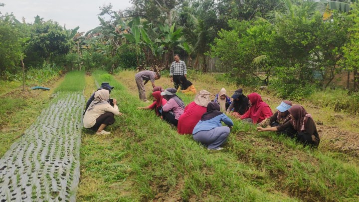 Kunjungan ke taman boga RT 09,  persiapan perlombaan HATINYA PKK
