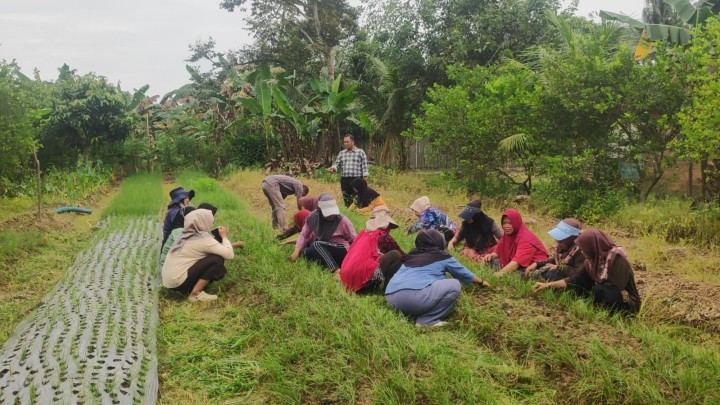 Kunjungan ke taman boga RT 09,  persiapan perlombaan HATINYA PKK