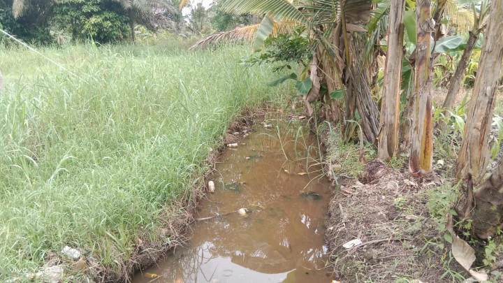 Monitoring ke RT.1 Bidang sapras bersama Tim pendamping Kelurahan dan di lanjutkan pengukuran jalan di wilayah RT. 3 Gang Sukarti. RT.4 perbaikan Drainase , dan RT.5 .Yang akan di rencanakan semenisasi oleh Probebaya Tahun 2026/2027.