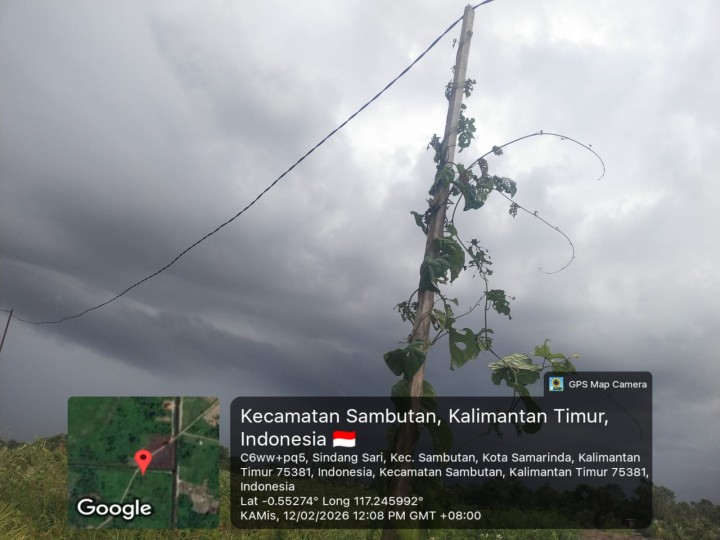 Menindaklanjuti laporan warga kabel listrik  terurai di RT 1 jalan sungai manggis