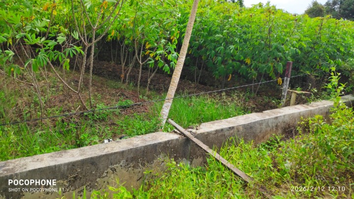Menindaklanjuti laporan warga kabel listrik  terurai di RT 1 jalan sungai manggis