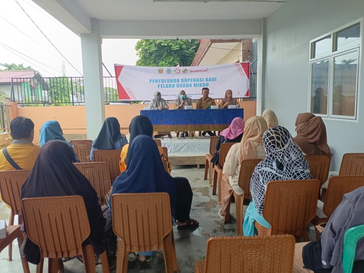 Penyuluhan Perkoperasian Pelaku Usaha Mikro di Kelurahan Sungai Dama