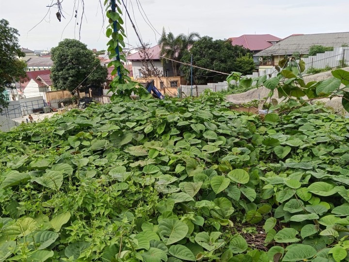 Kasi Ekobang Dan Staff Kelurahan Sungai Dama Monitoring penijauan lokasi IPAL yang dekat dengan Terowongan di Jl.kakap dengan di dampingi Ketua RT.07