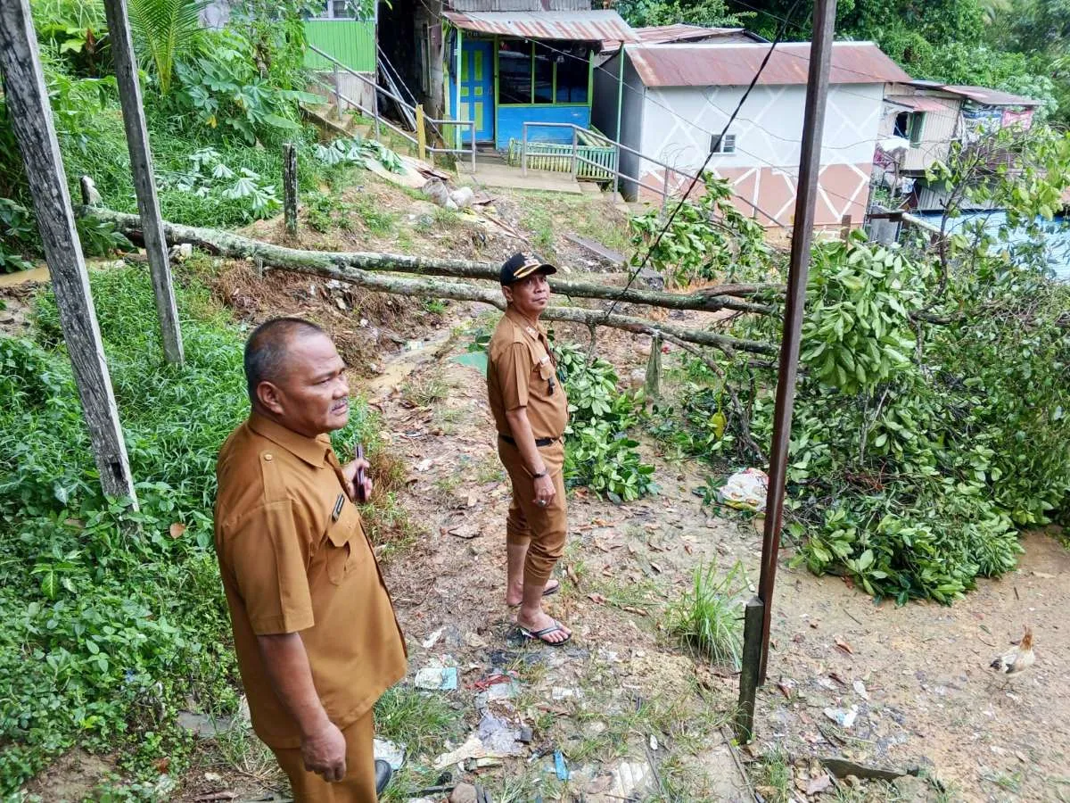 Lurah Bersama Staff Kelurahan Sungai Dama Monitoring Di RT 32 Mengenai  keluhan warga mengenai pohon tumbang yang mengenai listrik utama dan Ada beberapa rumah Yang lampunya padam.