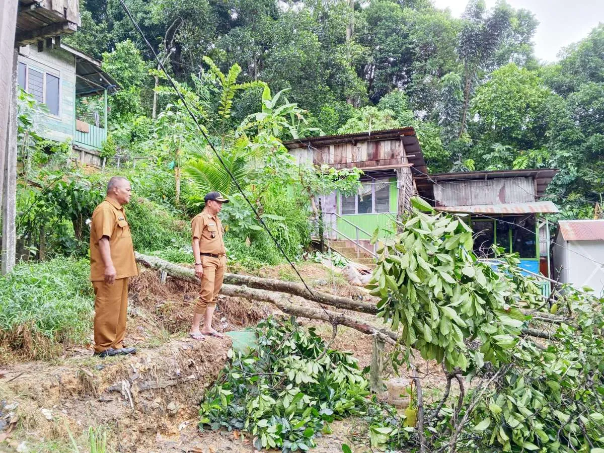 Lurah Bersama Staff Kelurahan Sungai Dama Monitoring Di RT 32 Mengenai  keluhan warga mengenai pohon tumbang yang mengenai listrik utama dan Ada beberapa rumah Yang lampunya padam.