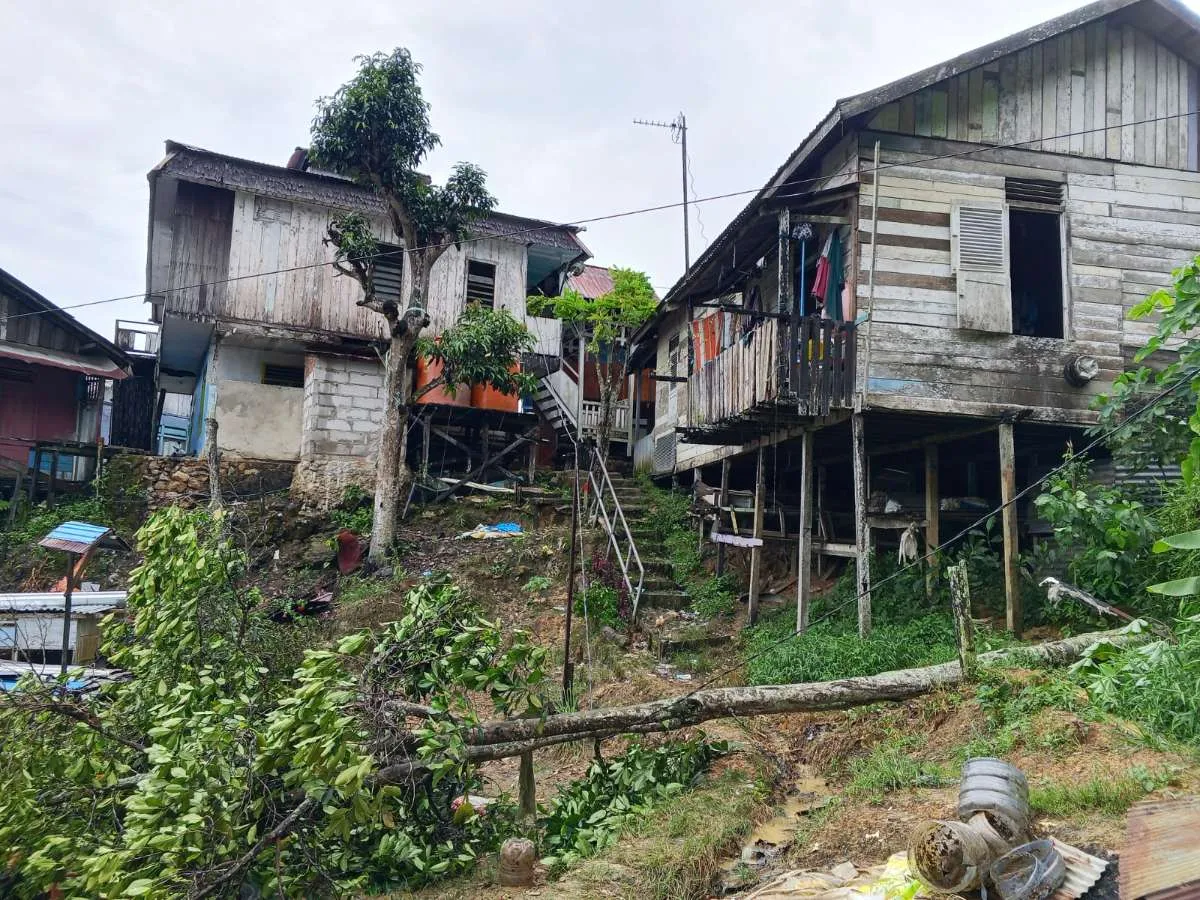 Lurah Bersama Staff Kelurahan Sungai Dama Monitoring Di RT 32 Mengenai  keluhan warga mengenai pohon tumbang yang mengenai listrik utama dan Ada beberapa rumah Yang lampunya padam.