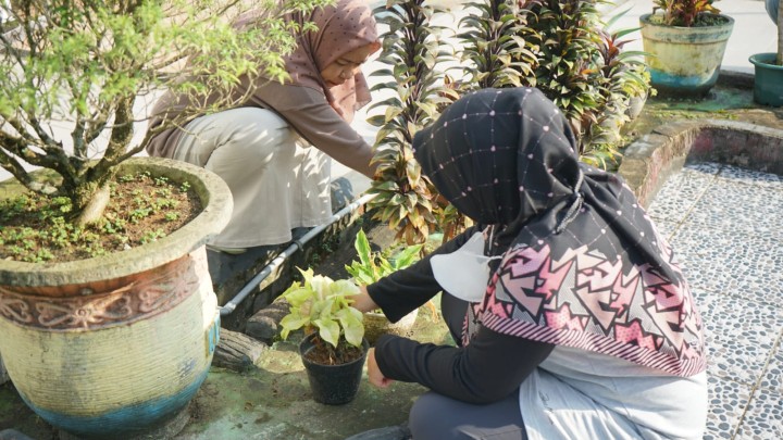 Kegiatan Kelurahan Sungai kapih Jumat Tanggal 08 November 2024